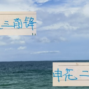 申花两年已经买3个前锋外援 到头来看 还是马莱莱是顶格